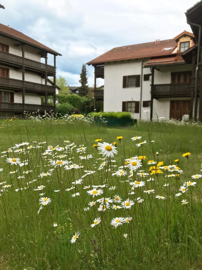 Schöne Ferienapartments im Bayerischer Wald Chrysantihof Zwiesel Exterior foto
