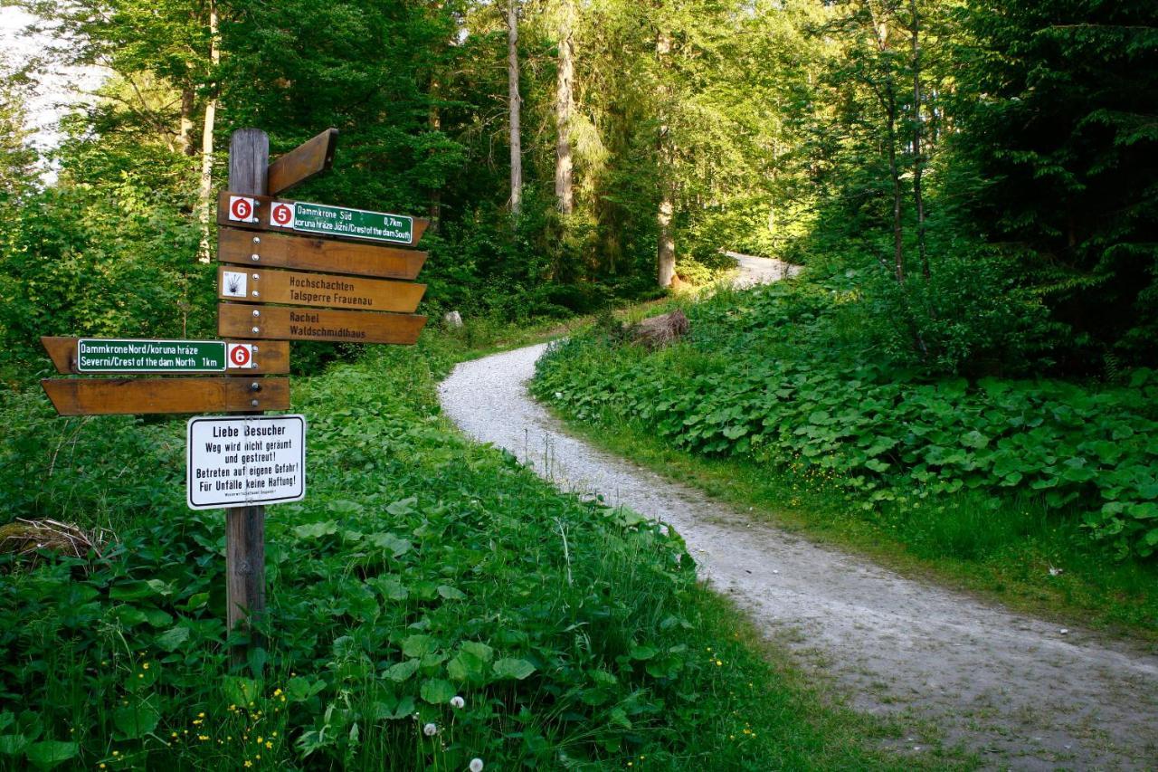 Schöne Ferienapartments im Bayerischer Wald Chrysantihof Zwiesel Exterior foto