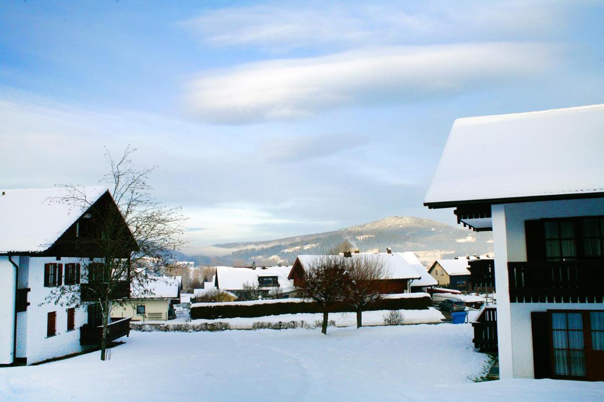 Schöne Ferienapartments im Bayerischer Wald Chrysantihof Zwiesel Exterior foto