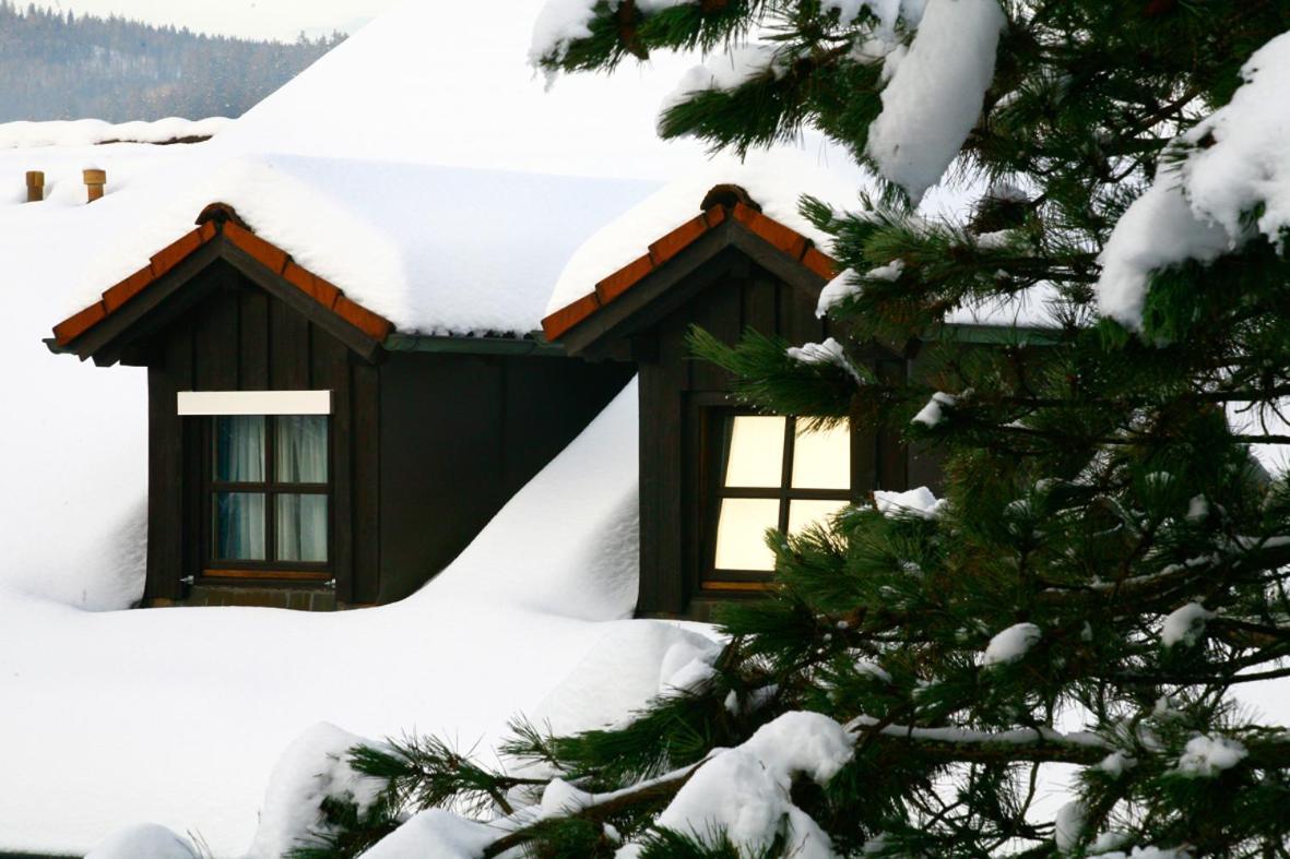 Schöne Ferienapartments im Bayerischer Wald Chrysantihof Zwiesel Exterior foto