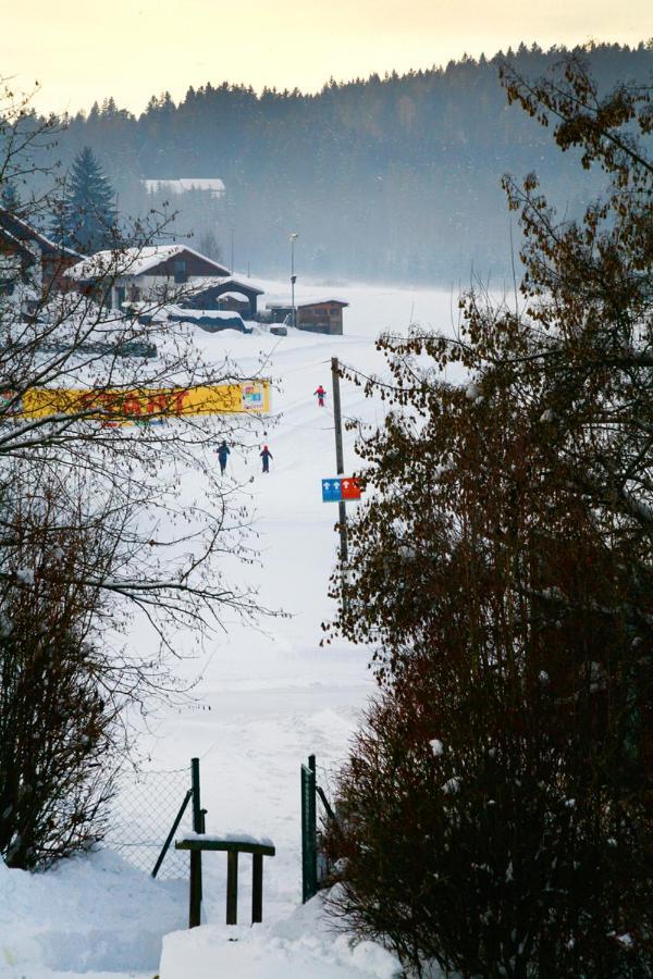 Schöne Ferienapartments im Bayerischer Wald Chrysantihof Zwiesel Exterior foto